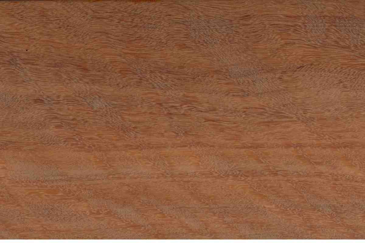 jarrah 1.jpg